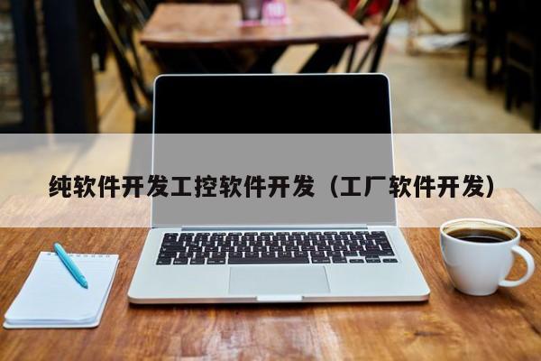 纯软件开发工控软件开发(工厂软件开发)